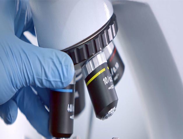 শীর্ষ R&D ক্ষমতা