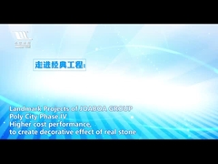 সিরামিক সারফেস জোয়াবোয়া ডেকোরেটিভ এবং এনার্জি সেভিং ইন্টিগ্রেটেড ক্ল্যাডিং সিস্টেম